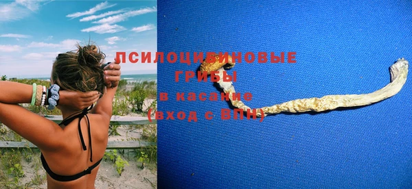 2c-b Балахна