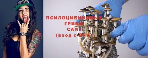 Альфа ПВП Беломорск